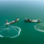 Fish farm is a major distributor of the salmon and fjord